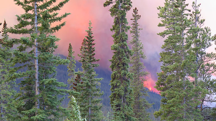 Alberta ends provincial state of emergency